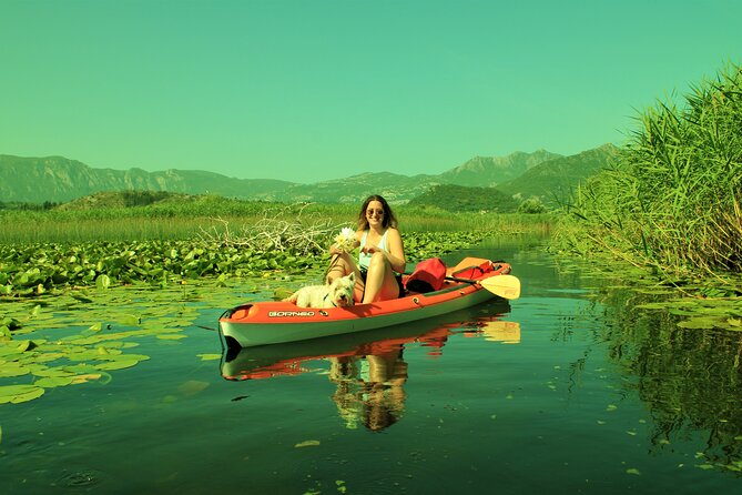 1-hour Kayak Adventure through Skadar Lake from Virpazar - What the lake feels like from a kayak