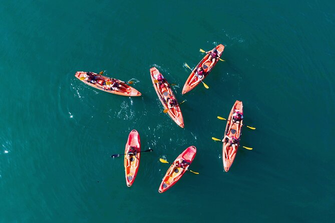 3 Hours Kayaking in Kotor Bay in Montenegro - Key points about kayaking Kotor Bay