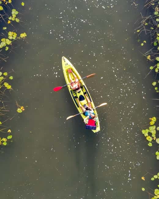 All Day Self-Kayaking to secret spots and wildlife observing - The secret stop and the return to Boat Milica