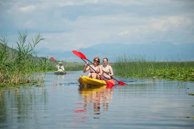 All Day Self-Kayaking to secret spots and wildlife observing - Safety instructions before you paddle