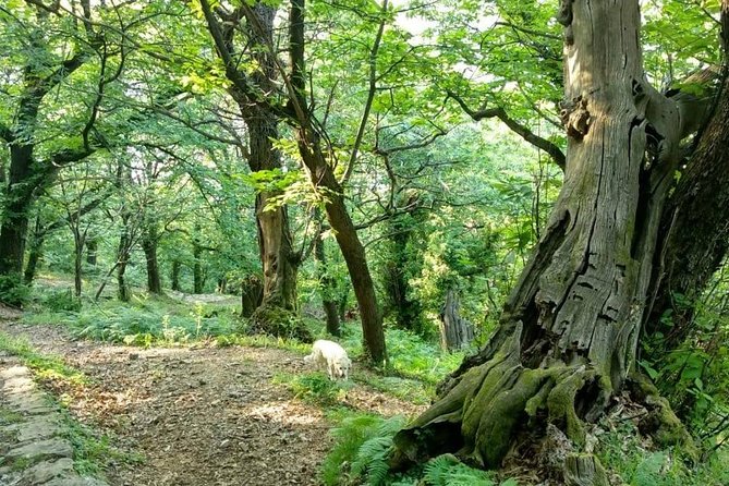 Bike & hike tour - The 0.6-mile climb above the shore