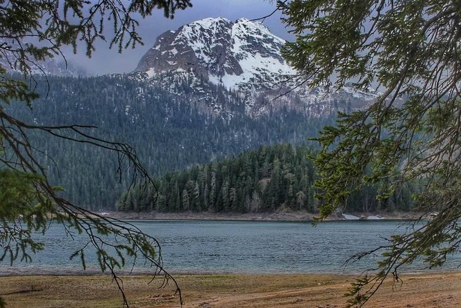 Black Lake and Djurdjevica Tara Bridge (Private tour) - Key points to know before you book