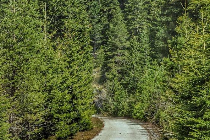 Black Lake and Djurdjevica Tara Bridge (Private tour) - Why this private trip is worth the long day