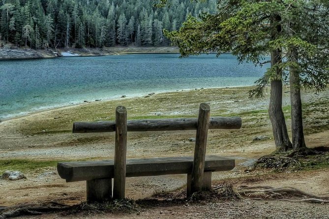 Black Lake and Djurdjevica Tara Bridge (Private tour) - Should you book Black Lake and Tara Bridge?