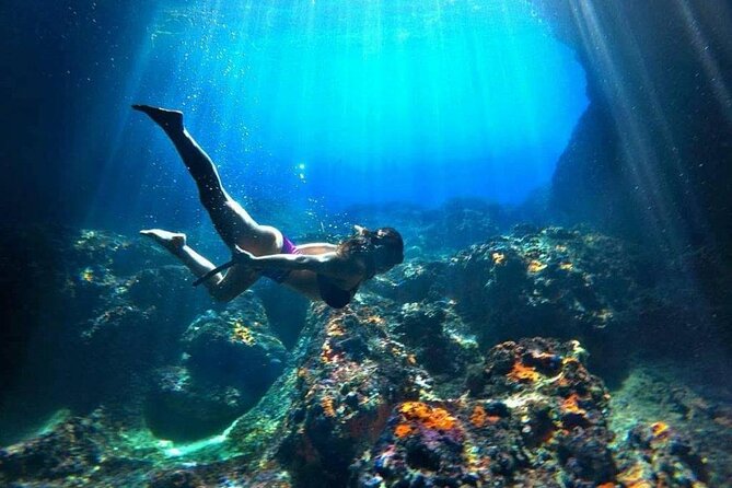 Blue Cave and Kotor Bay Luxurious Cruise Tour 3H+ - Key points to know before booking