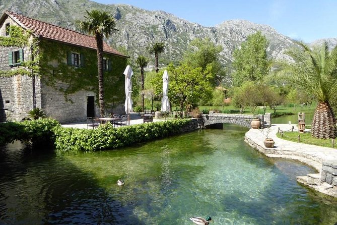 Boka Bay tour by car or speedboat (Private tour) - Car or speedboat: what the format means for you