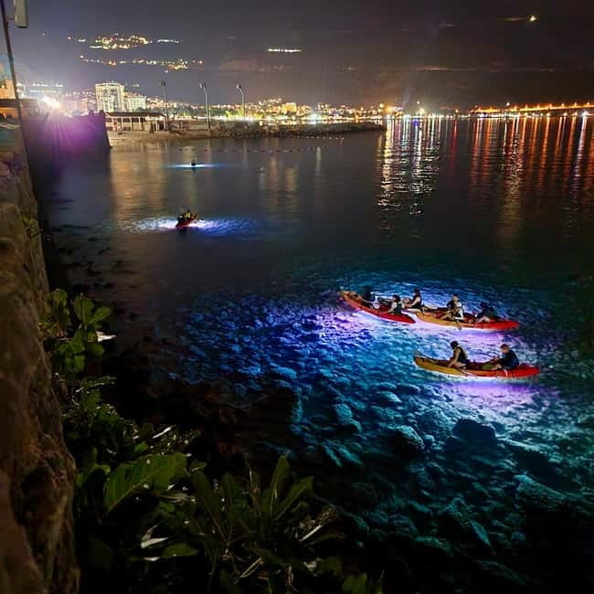 Budva: Night Lights Kayaking Tour - Getting started at Watersport Center Yamaha