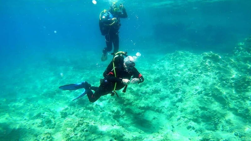 Budva: Scuba Diving Experience - The Catamaran Ride to the Adriatic Site