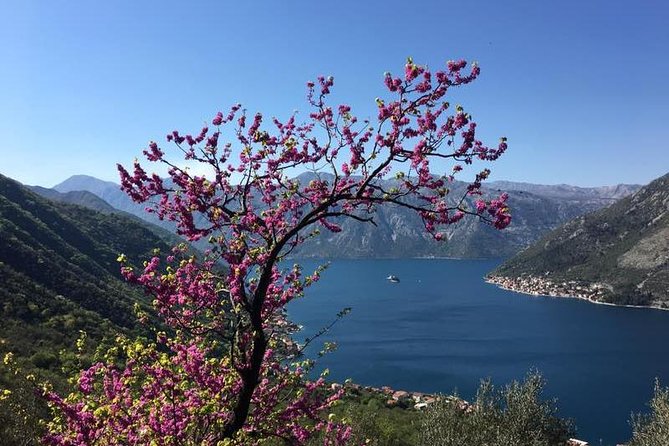 Cycling and hiking short tour through the bay of Kotor - The climb to a village abandoned since the 14th century