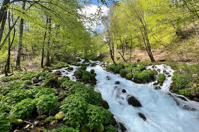Durmitor - Black Lake & Tara River Canyon - North Montenegro tour - Đurđevića Tara Bridge, high above the canyon