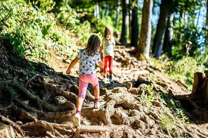 Durmitor National Park hiking tour - easy to moderate - Why this Durmitor hike works so well