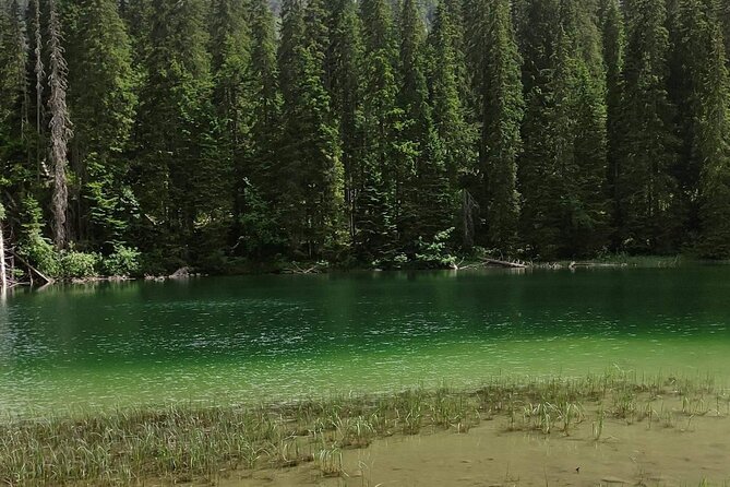 Durmitor National Park hiking tour - easy to moderate - Two hours through Durmitor National Park