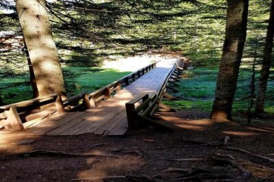 Durmitor National Park hiking tour – easy to moderate