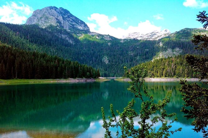 Durmitor National Park, Northern Fairy Tail -private tour from Podgorica - Tara Bridge and the Optional Zip Line