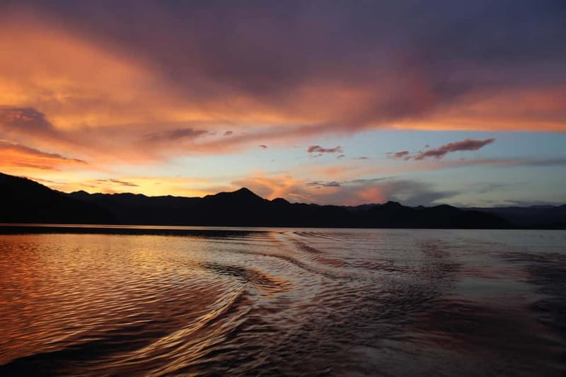 Experience Skadar Lake in 1h! - Paddling Through White Water Lilies