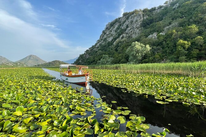 Explore Skadar Lake in Private 2 hour Boat Cruise - Bird habitat, water lilies, and the Moraca River