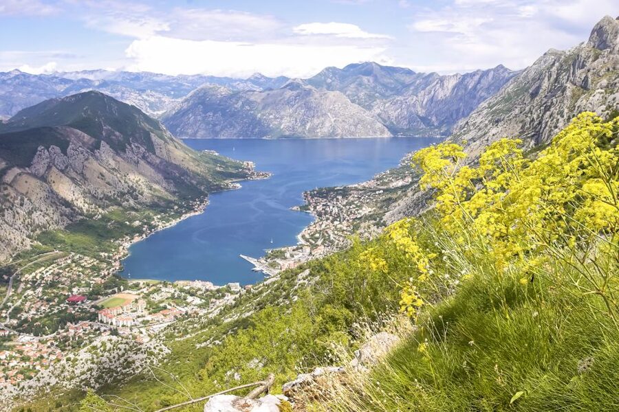 From Dubrovnik: Montenegro Day Trip - Kotor Old Town: Three Hours to Make Your Own