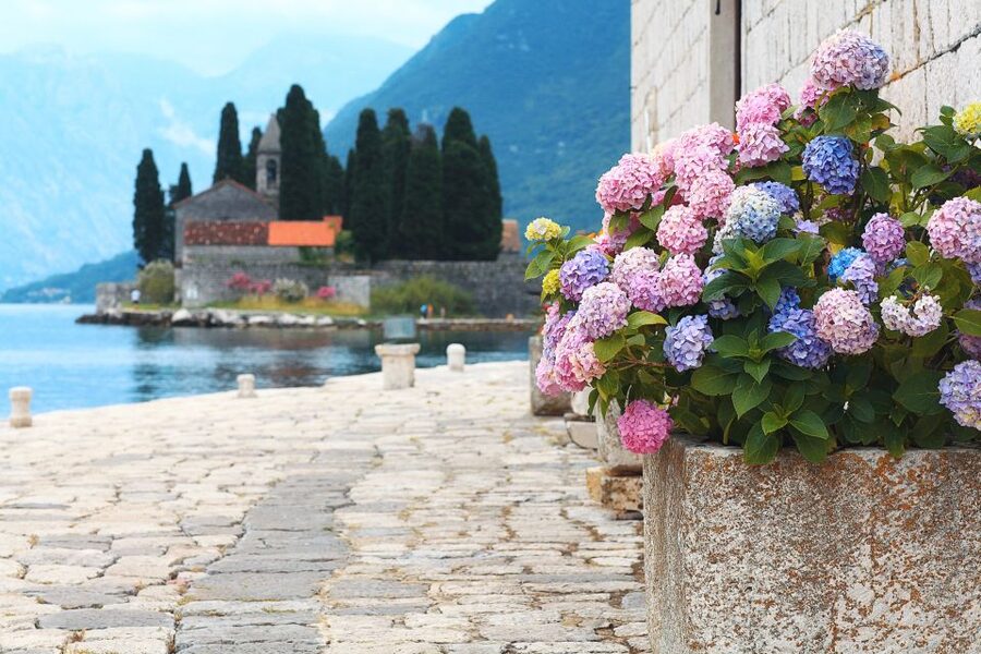 From Dubrovnik: Montenegro Highlights Day Tour - How demanding is the day?