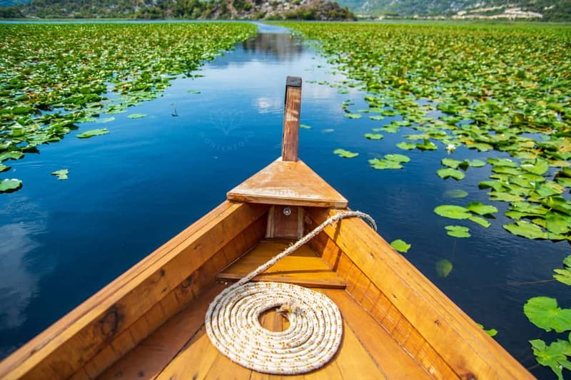 From Kotor, Budva, Tivat: Skadar Lake Boat Tour & Wine - What makes this seven-hour outing special