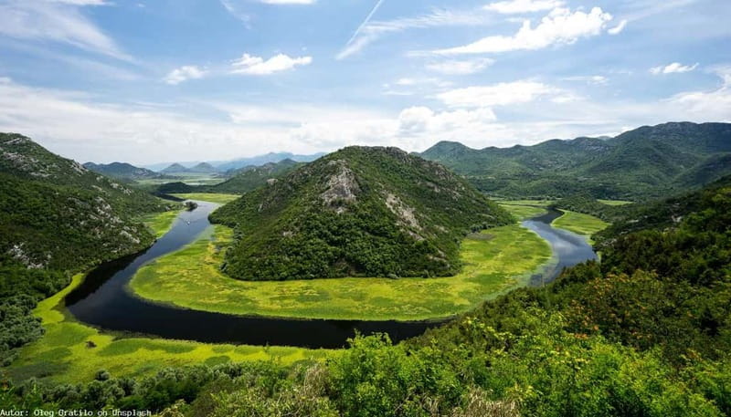 From Kotor, Budva, Tivat: Skadar Lake Boat Tour & Wine - How much value do you get for $318?