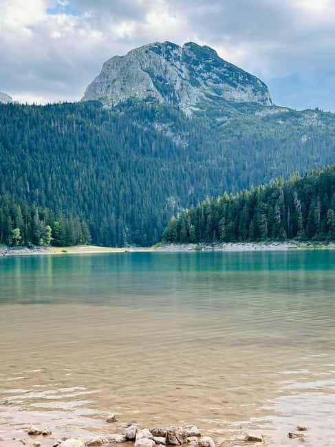 From Kotor: Durmitor National Park and Tara Bridge Day Trip - Tara Bridge and the canyon below