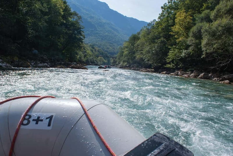 From Kotor: Montenegro Tara Rafting - Key points about rafting Tara River