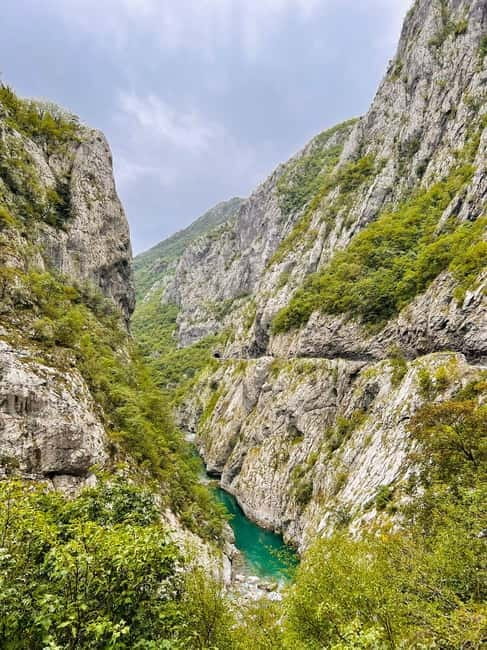 From Podgorica: Biogradska Gora NP & Moraca monastery&Canyon - Biogradsko Lake and the old forest