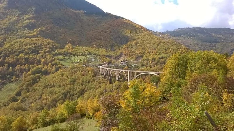 From Podgorica: Durmitor NP & Tara canyon-Amazing Montenegro - Key points to know before booking