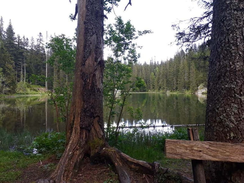 From Žabljak: Durmitor National Park Private Hiking Tour - Meeting in Žabljak and walking to Black Lake