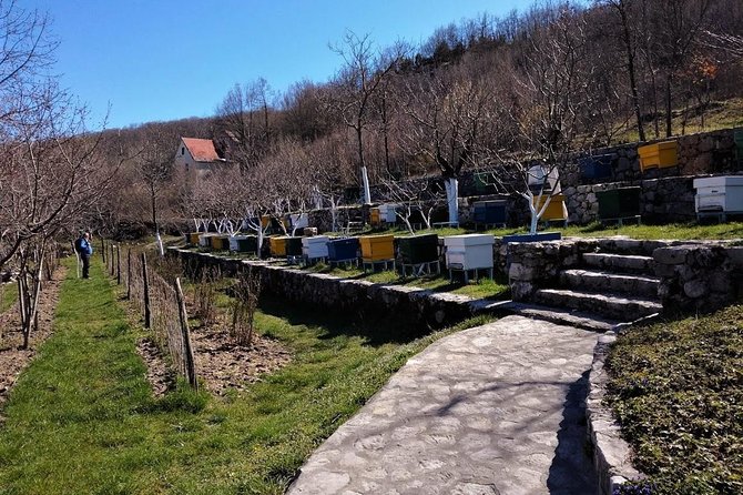 Gastronomy and Sightseeing in Montenegro - Lake Skadar & Cetinje Private Tour - Key things to know before you book
