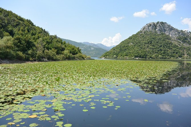 Gastronomy and Sightseeing in Montenegro - Lake Skadar & Cetinje Private Tour - Cetinje, Montenegro’s former royal center