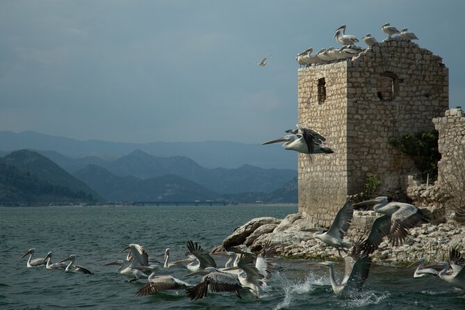 Guided Boat Tours on Lake Skadar with Local Insights - Andrijska Gora and Cakovica add quiet island scenery