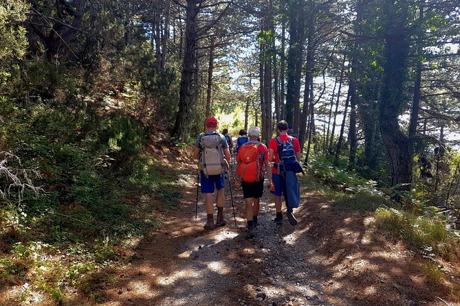 Hiking Vrmac peninsula with panoramic view on Kotor bay - What the private format is really worth