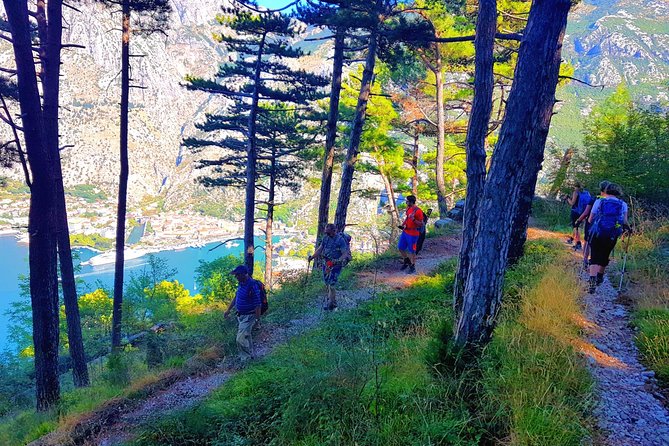Hiking Vrmac peninsula with panoramic view on Kotor bay - Who should book this hike?