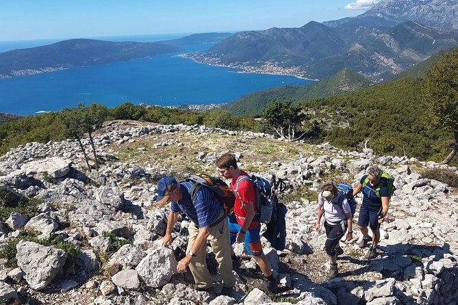 Hiking Vrmac peninsula with panoramic view on Kotor bay - Timing, booking, and cancellation advice