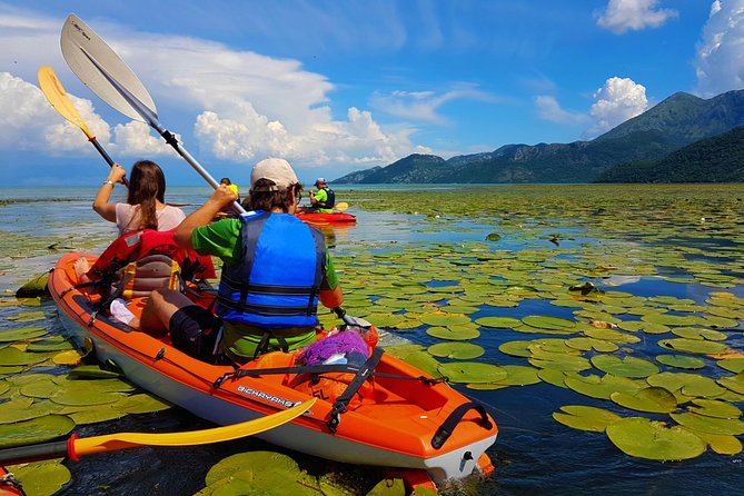 Kayak Guided Tour Skadar lake - Adventure in National park - Key points before you book