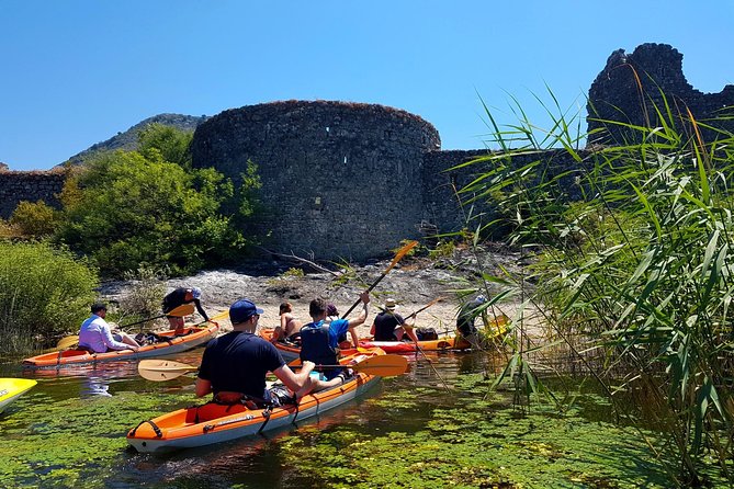 Kayak Guided Tour Skadar lake - Adventure in National park - Pelinovo Beach for swimming and a drink