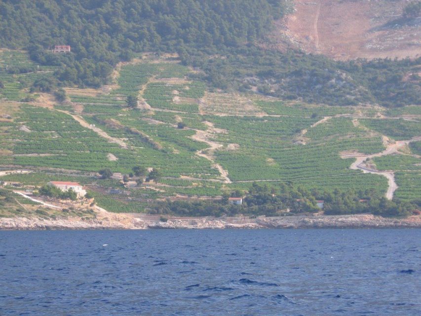 Korčula & Ston Full-Day Private Tour from Dubrovnik - Why this private day trip works