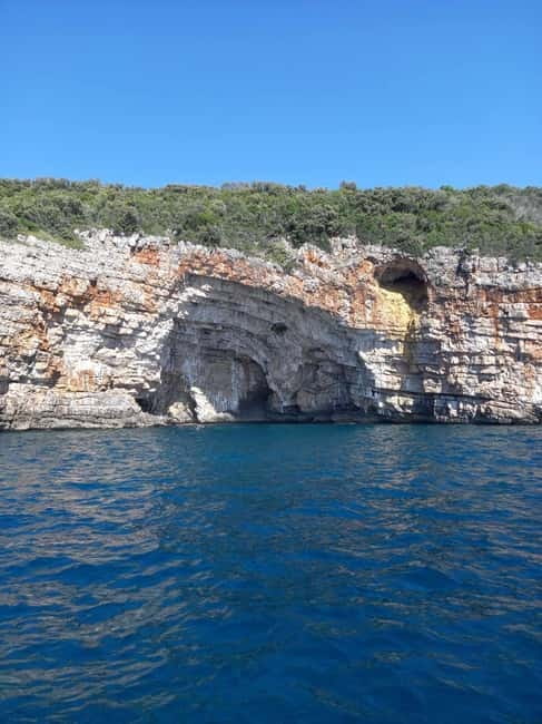 Kotor: Blue Cave, and Full Bay Speedboat Tour - Key points at a glance