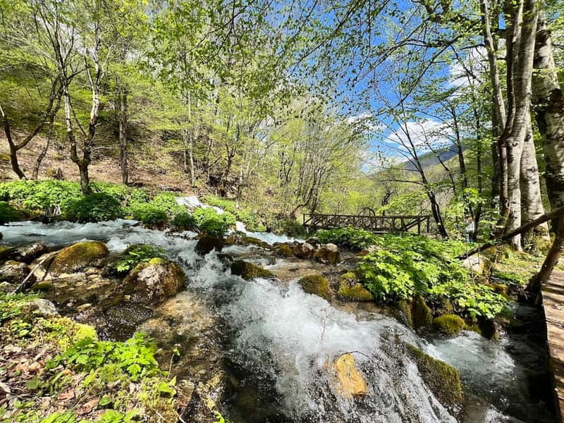 Kotor: Durmitor, Black Lake & Djurdjevica Tara Bridge Tour - Final verdict: should you book it?