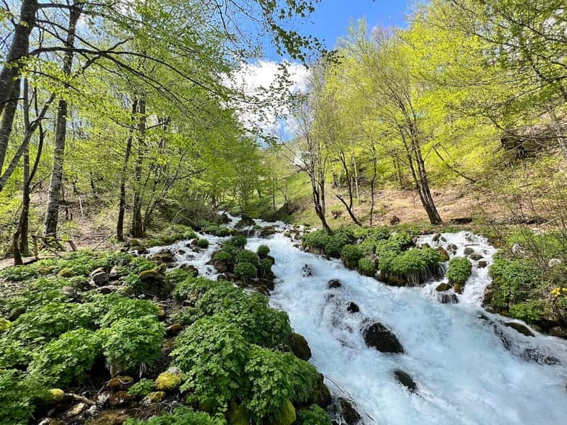 Kotor: Durmitor, Black Lake & Djurdjevica Tara Bridge Tour - Why the guide can make or break this trip