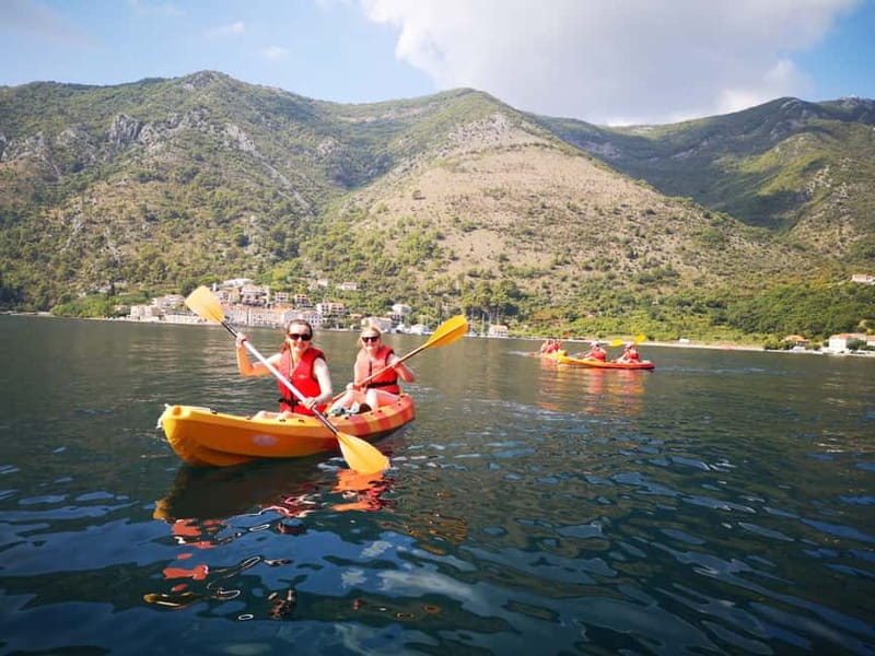 Kotor: Guided Kotor Bay Kayaking Tour - Starting at Kotor Port and reaching the launch beach