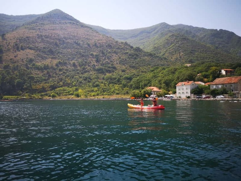 Kotor: Guided Kotor Bay Kayaking Tour - How much value do you get for $42?