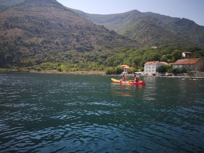 Kotor: Guided Kotor Bay Kayaking Tour - Booking details and practical advice
