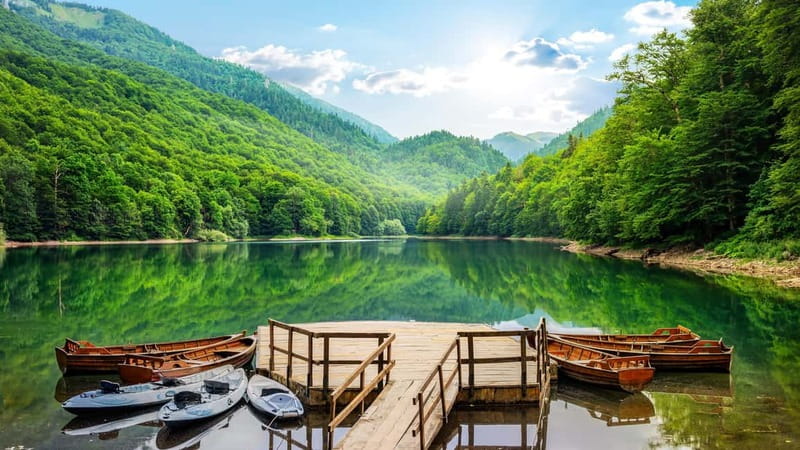 Kotor: Lake Skadar and Biograd Day Trip & Boat Ride - Biograd Lake and one of Europe’s old forests
