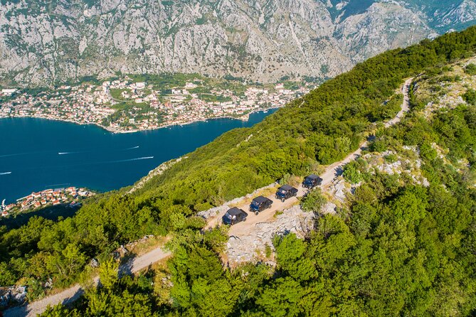 Kotor Off road buggy adventure: mountains, fortresses & vistas - Mount Vrmac: pine woods and a forgotten fortress