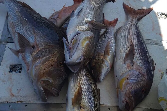 Kotor Private Fishing Adventure Blue Cave And Lunch - Price and value for a private group