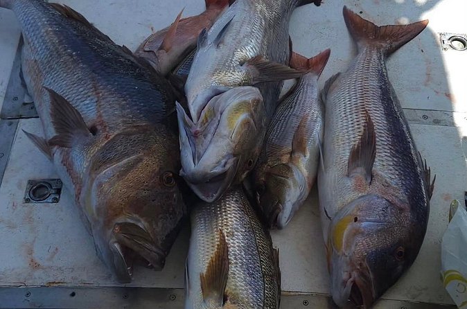 Kotor Private Fishing Adventure Blue Cave And Lunch - Practical details that affect your day