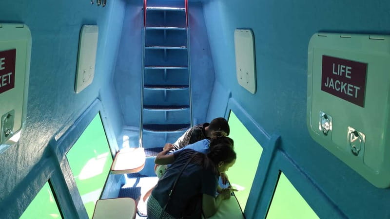 Kotor: Red Semi-Submarine Family Tour With Underwater Cabin - What the underwater views can and cannot deliver