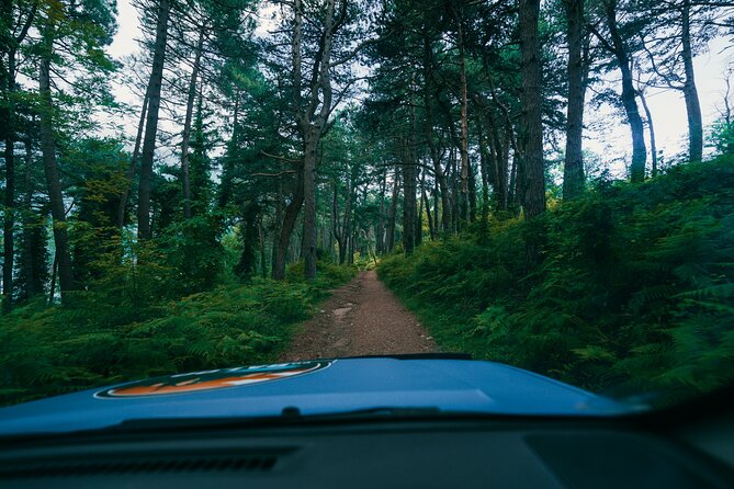 Kotor & Tivat Jeep Tour: Fortress Trails & Local Picnic - Why this Jeep ride shows Kotor in a new way
